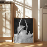 Amadeus Poster och Canvastavla