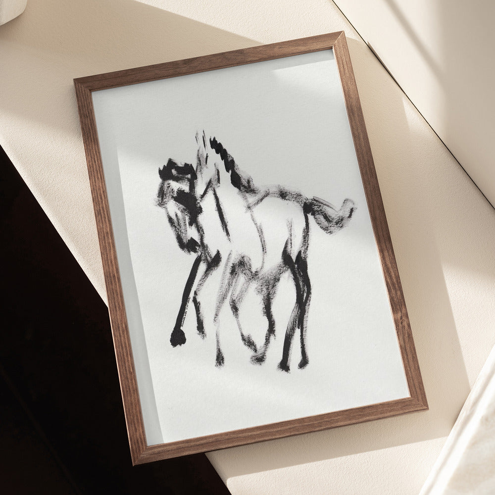 Horse 128 Poster och Canvastavla