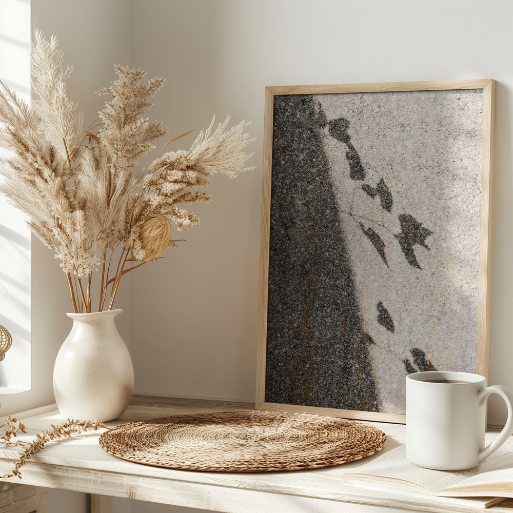 Botanical shadow on the wall Poster och Canvastavla