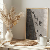 Botanical shadow on the wall Poster och Canvastavla