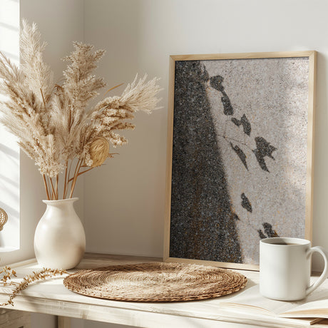 Botanical shadow on the wall Poster och Canvastavla