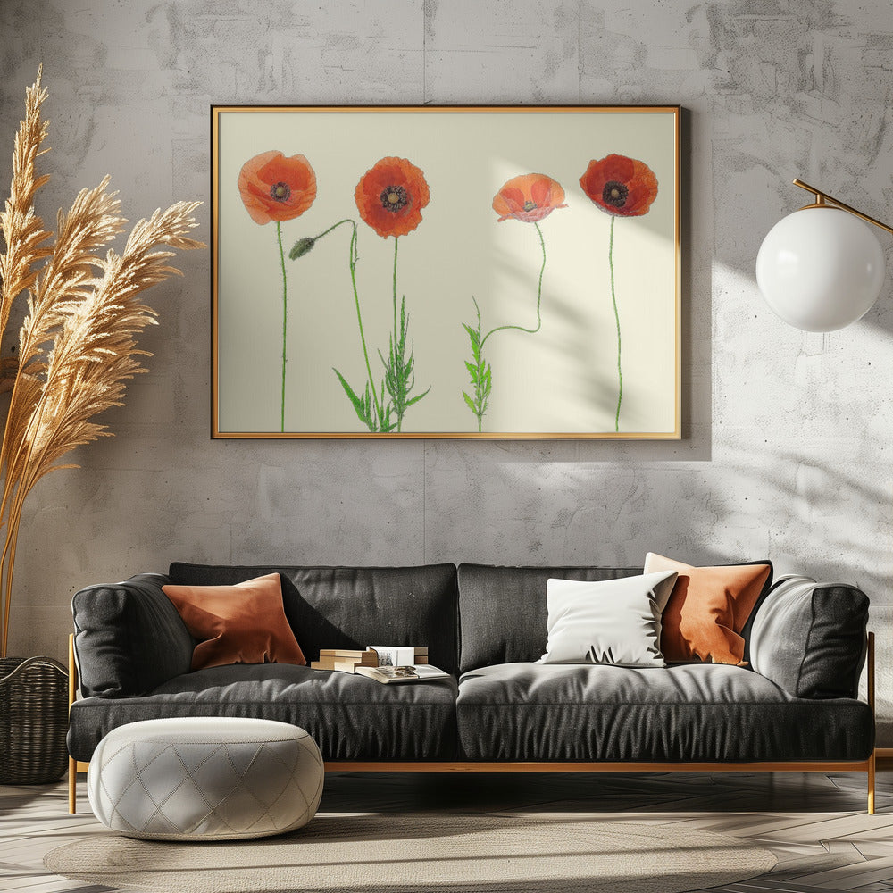 poppy quartet Poster och Canvastavla