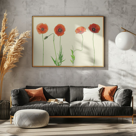 poppy quartet Poster och Canvastavla