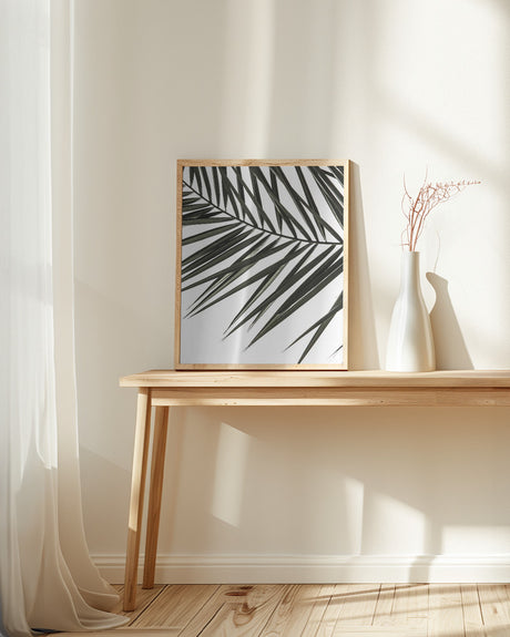 Phoenix Frond Poster och Canvastavla