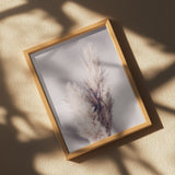 Pampas Grass Poster och Canvastavla