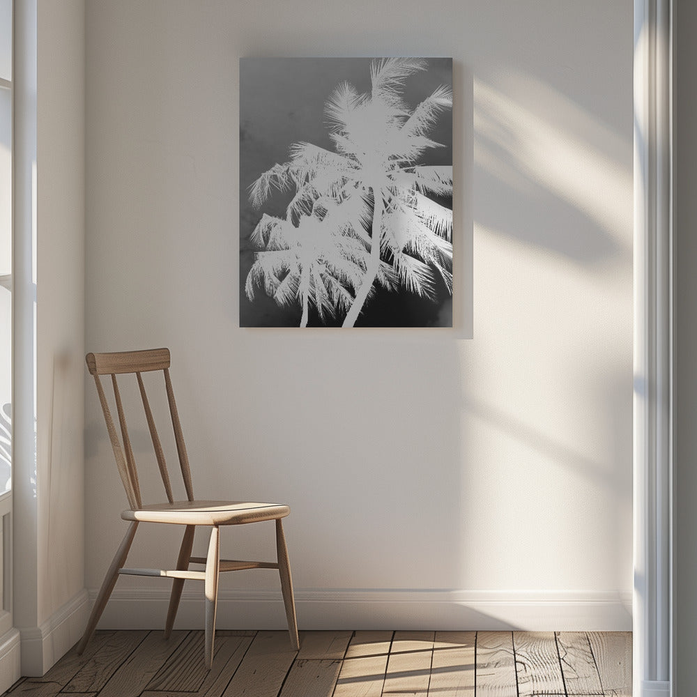 Coco Island No1 Poster och Canvastavla