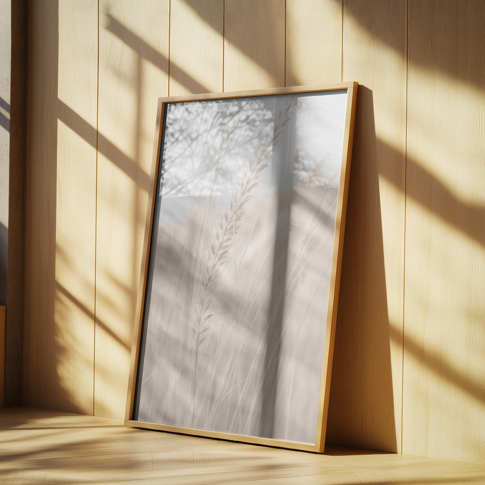 Grass_001 Poster och Canvastavla