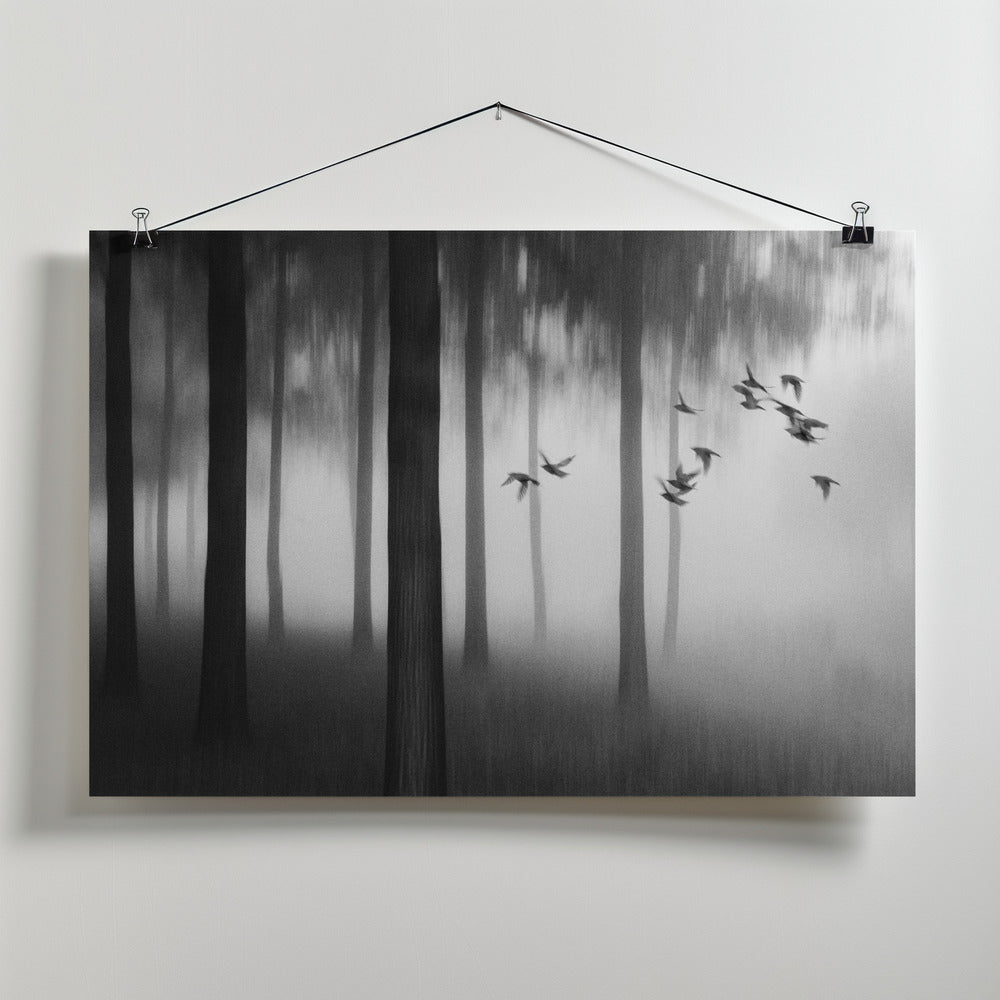 Dense fog Poster och Canvastavla