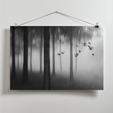Dense fog Poster och Canvastavla