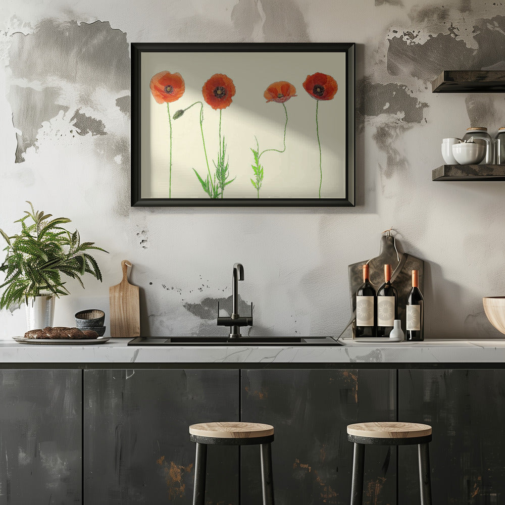 poppy quartet Poster och Canvastavla
