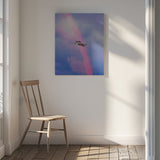 #165 Poster och Canvastavla