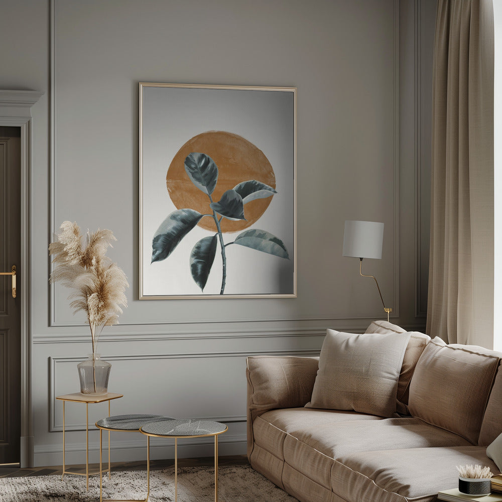 Sun and Ficus Poster och Canvastavla