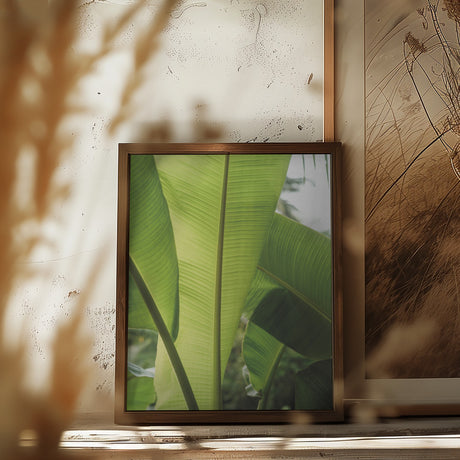 Tropic Bananna Poster och Canvastavla