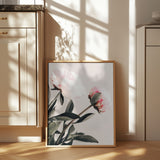 Peony 23 Poster och Canvastavla