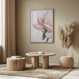 Peony 2 Poster och Canvastavla