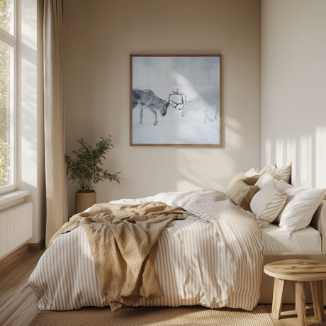 Reindeer in Arctic Winter Poster och Canvastavla
