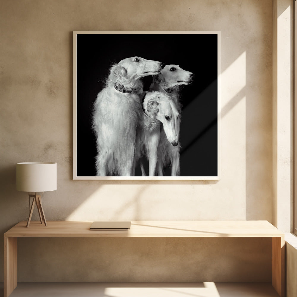 3 of a kind Poster och Canvastavla