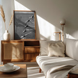 The beauty of diving Poster och Canvastavla