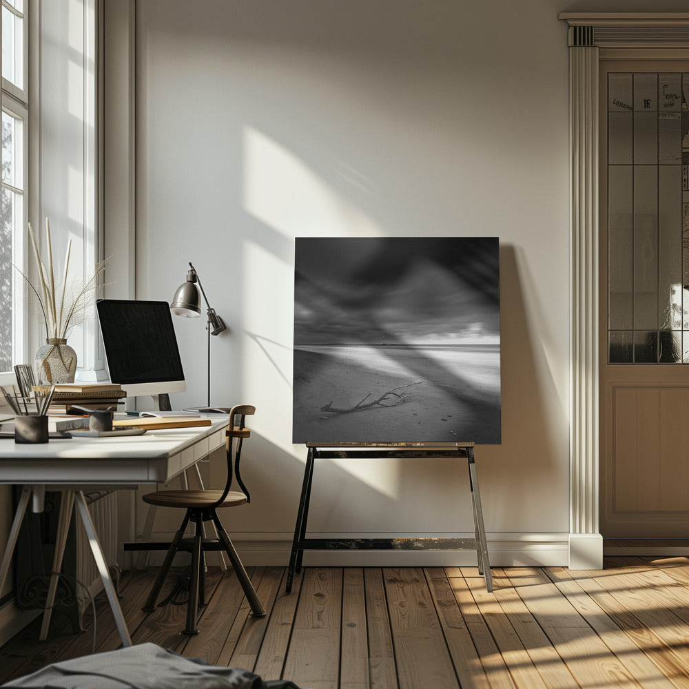 Branch on the shore Poster och Canvastavla