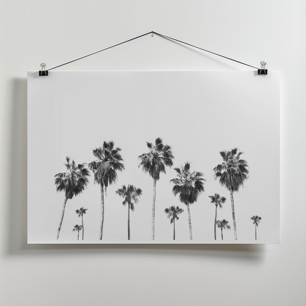 Landscape of Palms Poster och Canvastavla