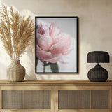 Peony 3 Poster och Canvastavla