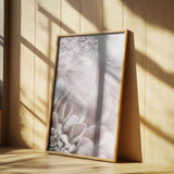 Chrysanthemum No 03 Poster och Canvastavla