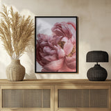 Peony Poster och Canvastavla
