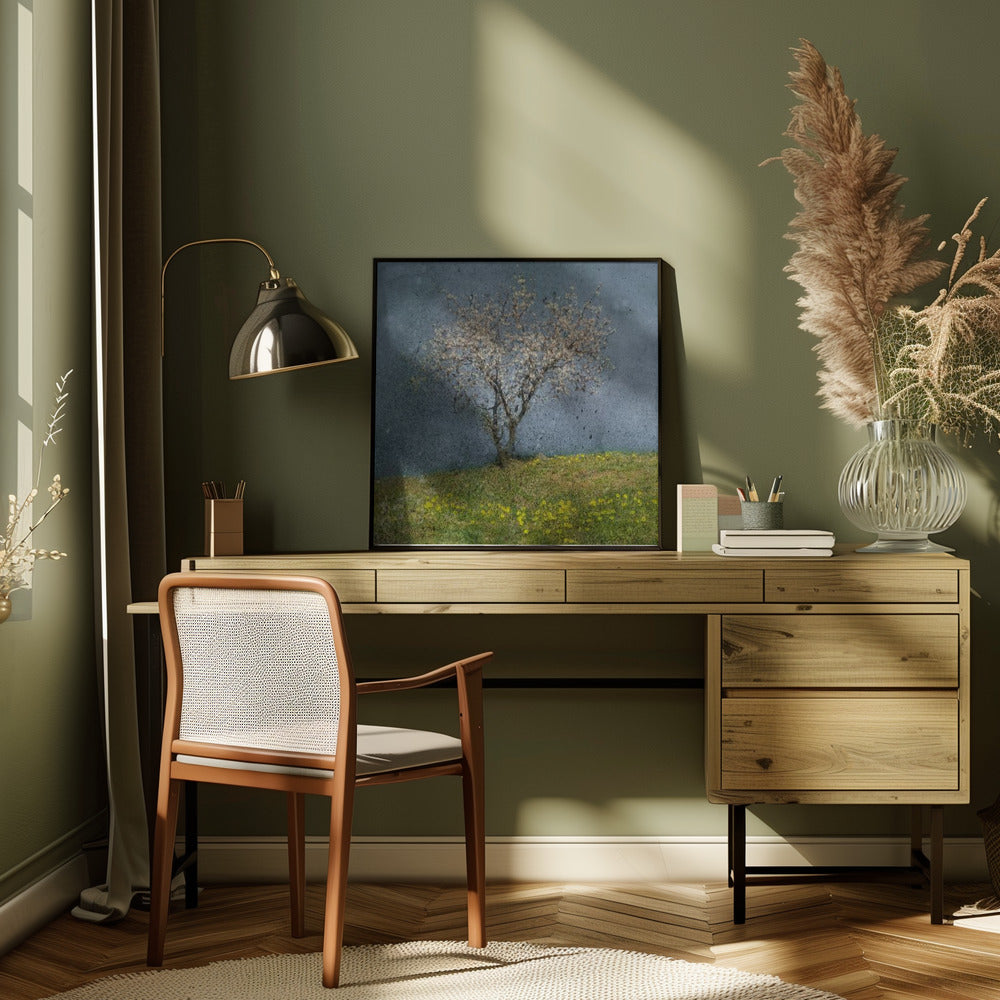 Almond tree Poster och Canvastavla