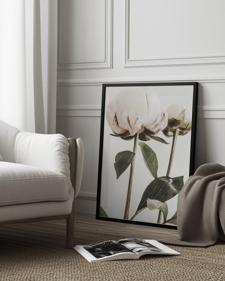 Peony 24 Poster och Canvastavla