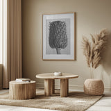 Cirsium Canum (Thistle) Poster och Canvastavla