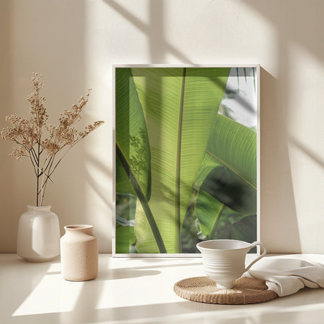 Tropic Bananna Poster och Canvastavla
