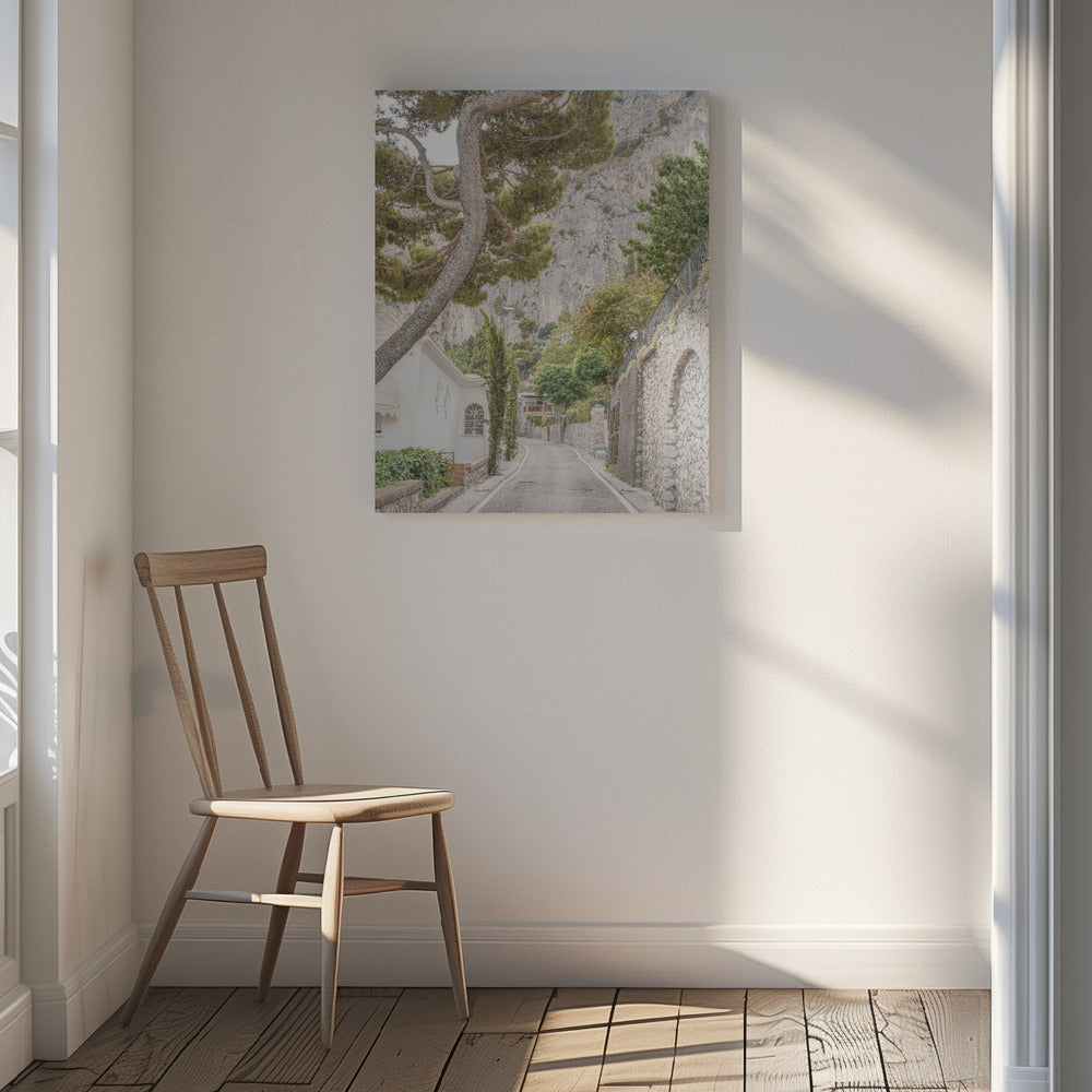 Streets of Capri Poster och Canvastavla