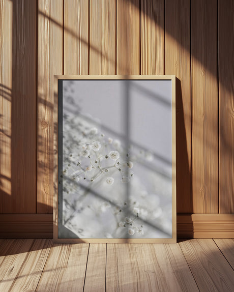 Babys Breath Poster och Canvastavla