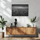 After the storm Poster och Canvastavla