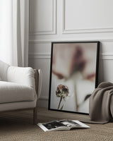 Peony 22 Poster och Canvastavla