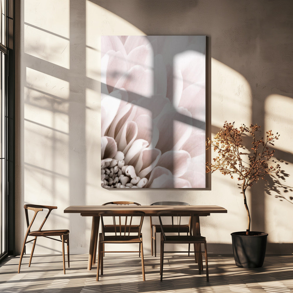 Chrysanthemum No 03 Poster och Canvastavla