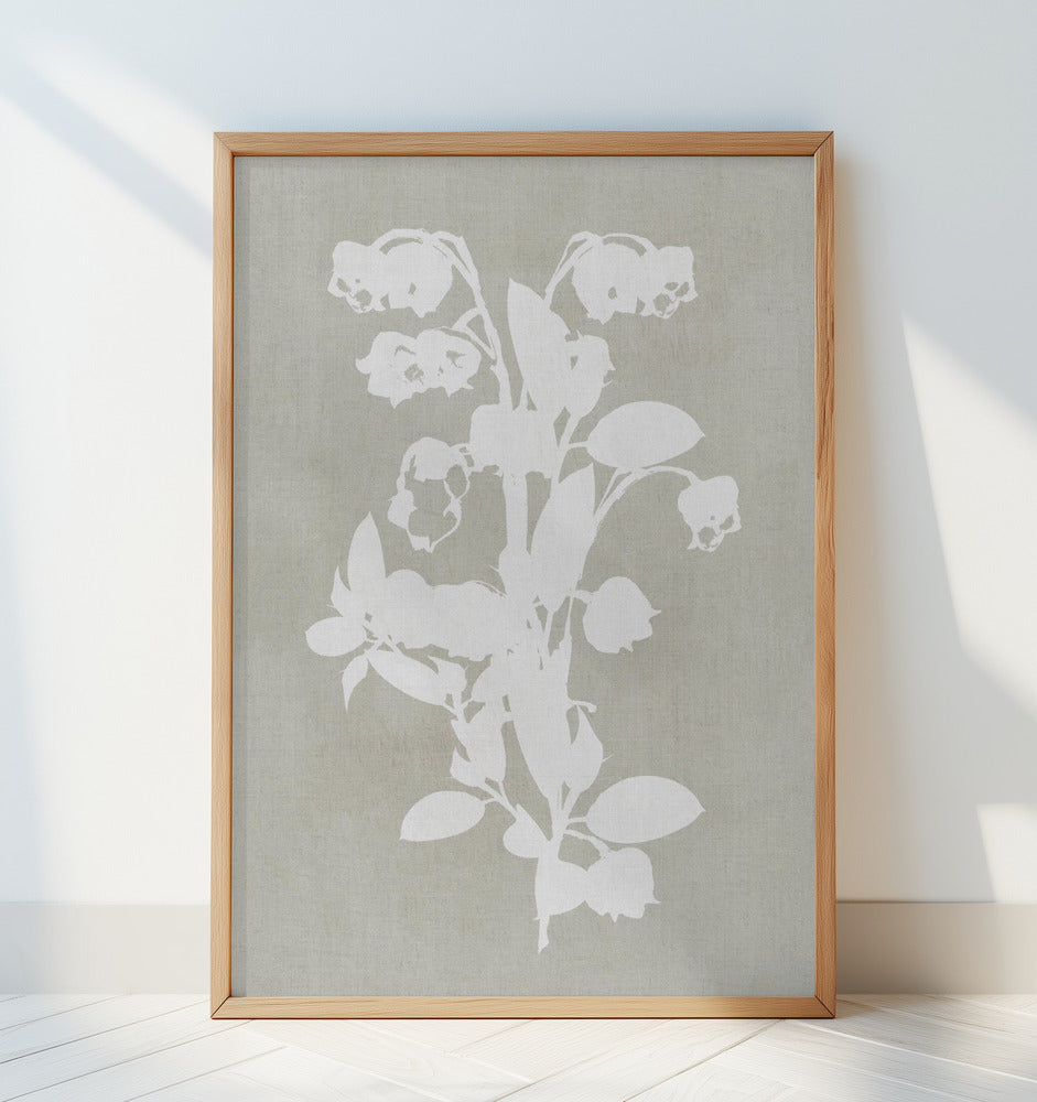 Botanical Illustration 4 Poster och Canvastavla