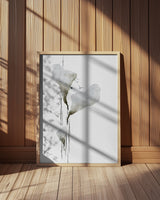 The Way To Happyness Poster och Canvastavla