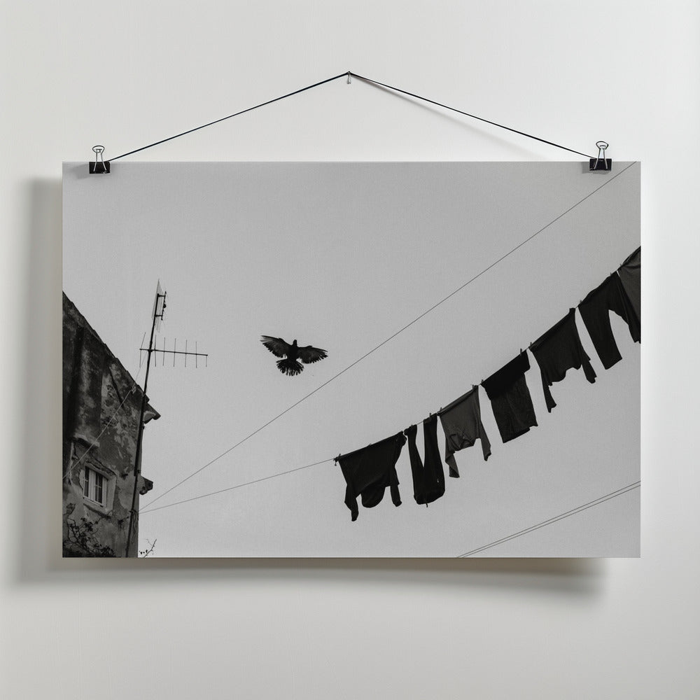 Fly People Fly Poster och Canvastavla