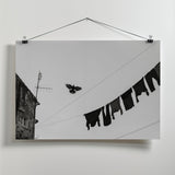 Fly People Fly Poster och Canvastavla
