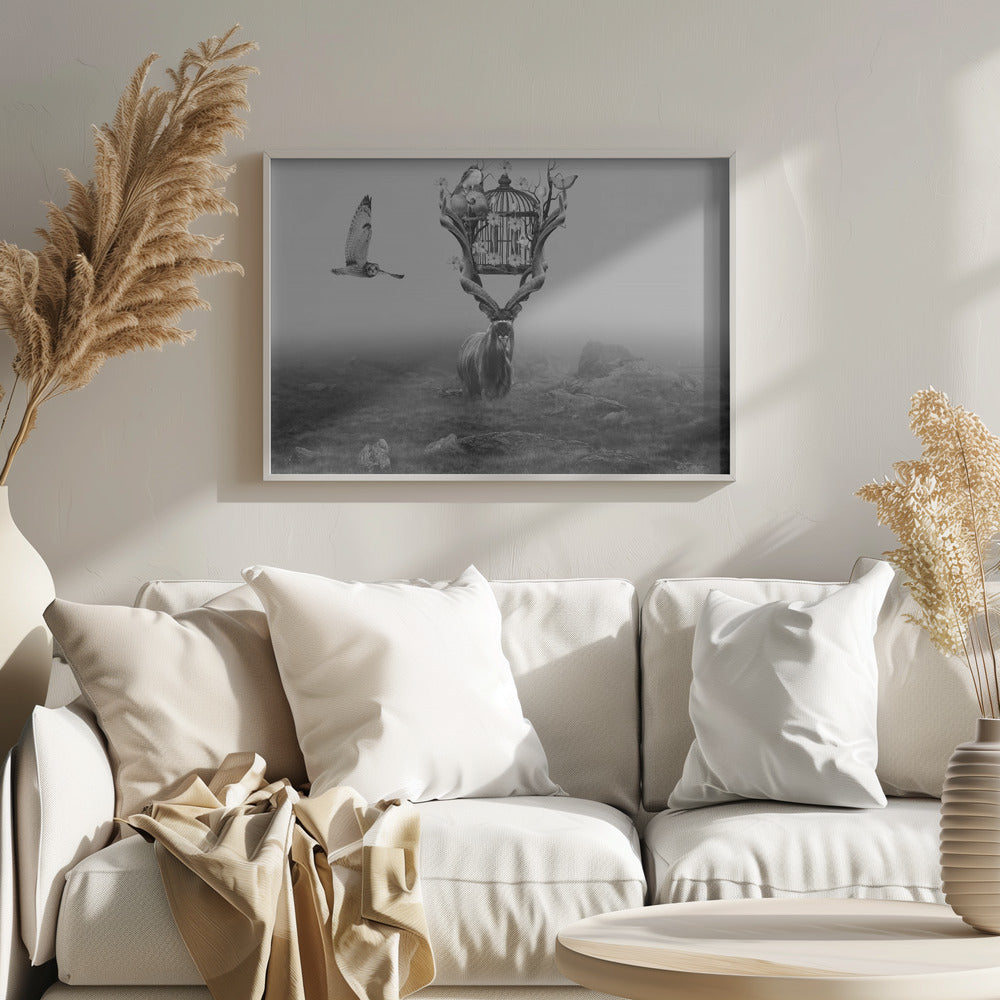 Antelope Poster och Canvastavla