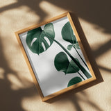 Monstera Natural 38 Poster och Canvastavla