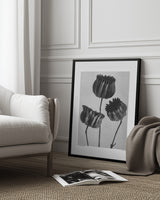 Abutilon (Lime Mallow Poster och Canvastavla