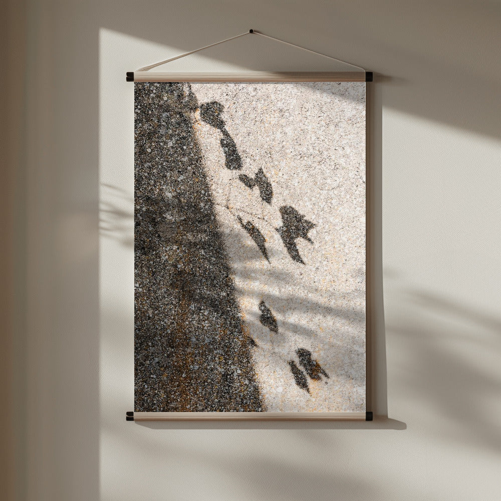 Botanical shadow on the wall Poster och Canvastavla