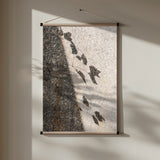 Botanical shadow on the wall Poster och Canvastavla