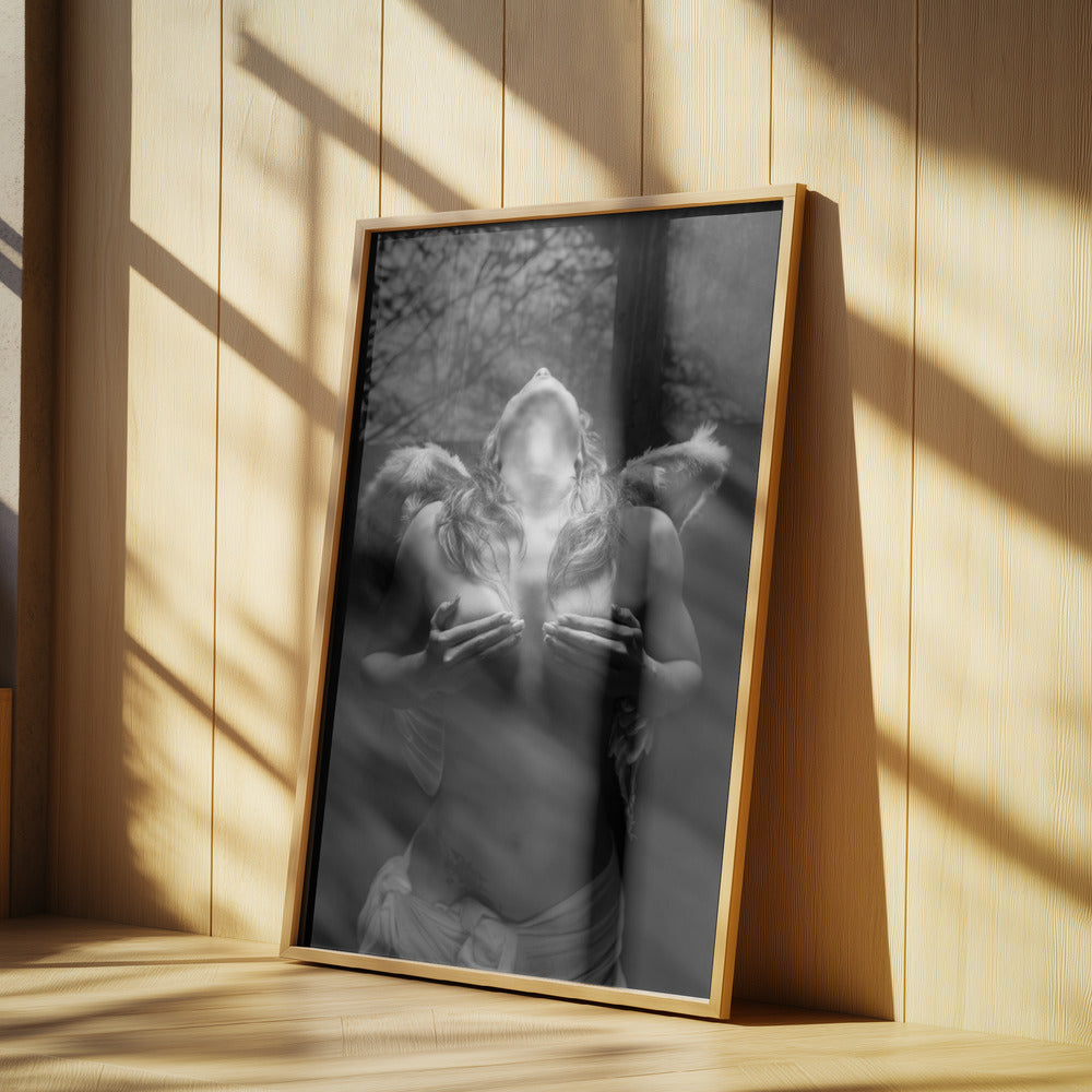 Fallen angel Poster och Canvastavla
