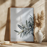 Olives Poster och Canvastavla