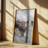 Cow Poster och Canvastavla