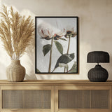 Peony 24 Poster och Canvastavla