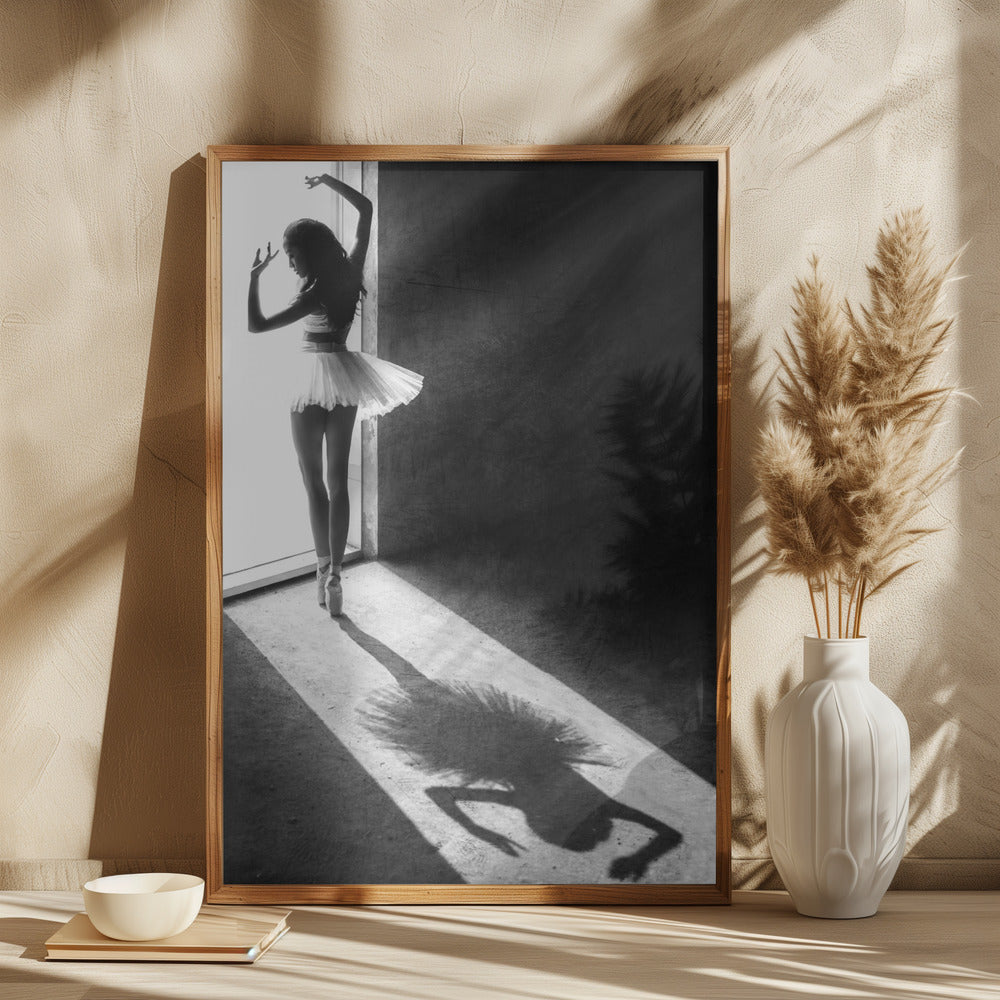 Shadow Dance Poster och Canvastavla
